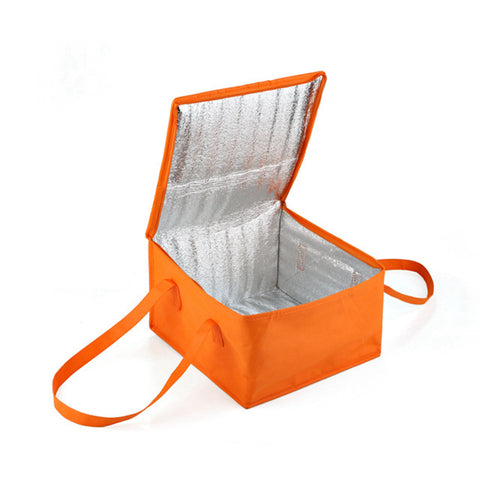 Collapsible Cooler Mini Bag