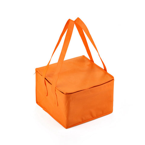 Collapsible Cooler Mini Bag