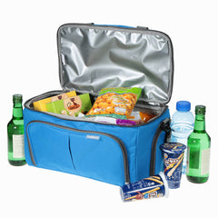 Picnic Cooler Two Way Bag