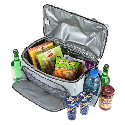 Picnic Cooler Two Way Bag